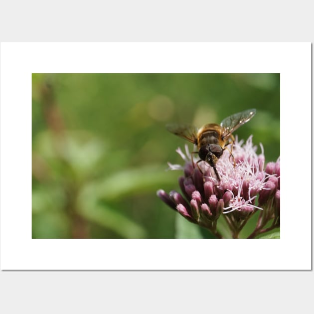 Bee On Water Hemp Flower Wall Art by Pirino